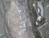 Rzeczywistość -wrażliwośc -deformacje - 2012